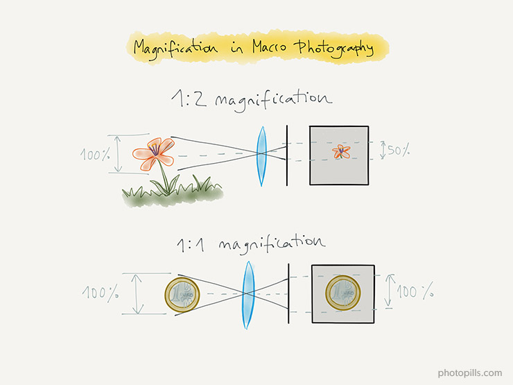 Photography Depth Of Field Chart