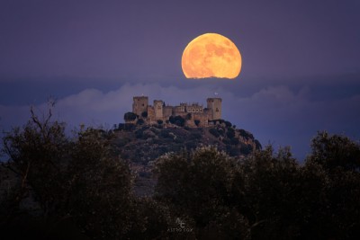 Spain, Almodóvar del Río, Castle of Almodovar del Río by Jordi Coy