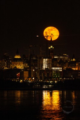 Canada, Ontario, Peace Tower of Parliment Hill by Jessica Wong
