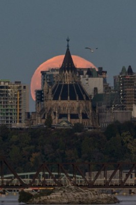 Canada, Ontario, Parliamentary Library by Ted Timmons